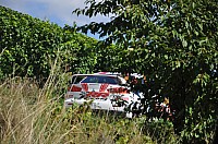 WRC-D 20-08-2010 085.jpg